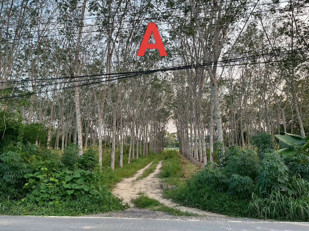 Prime land plot for Sale at Pakrong Cheep