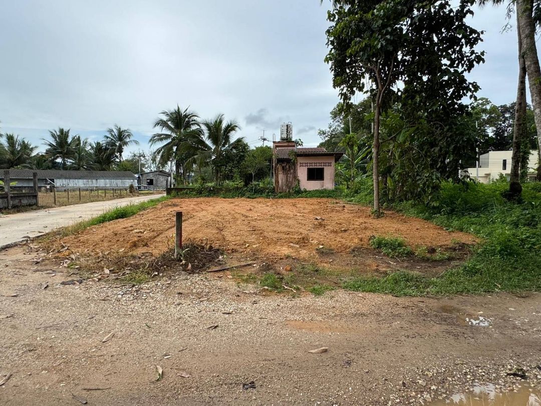 Prime levelled land in Bang Niang, Khao Lak 79.1 Sq.w. ready for construction.