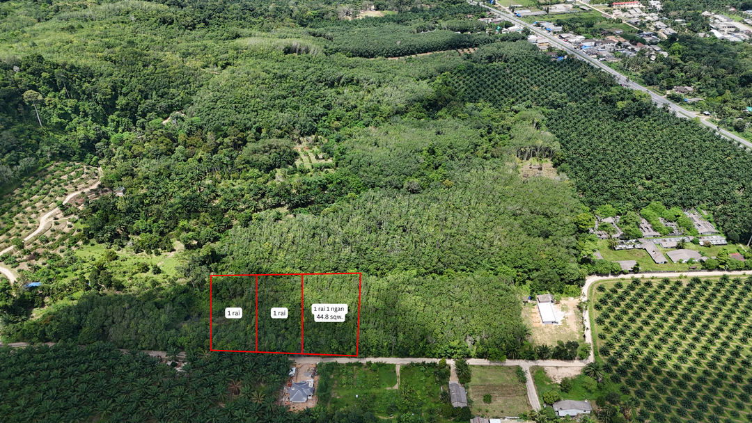 Prime land with stunning mountain views – 3 rai in Khao Lak, Phang Nga.